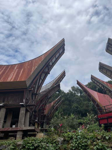 Toraja Coffee Farm 3