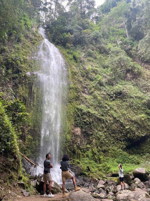 Toraja Coffee Farm 4