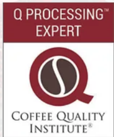 Q Processing Expert