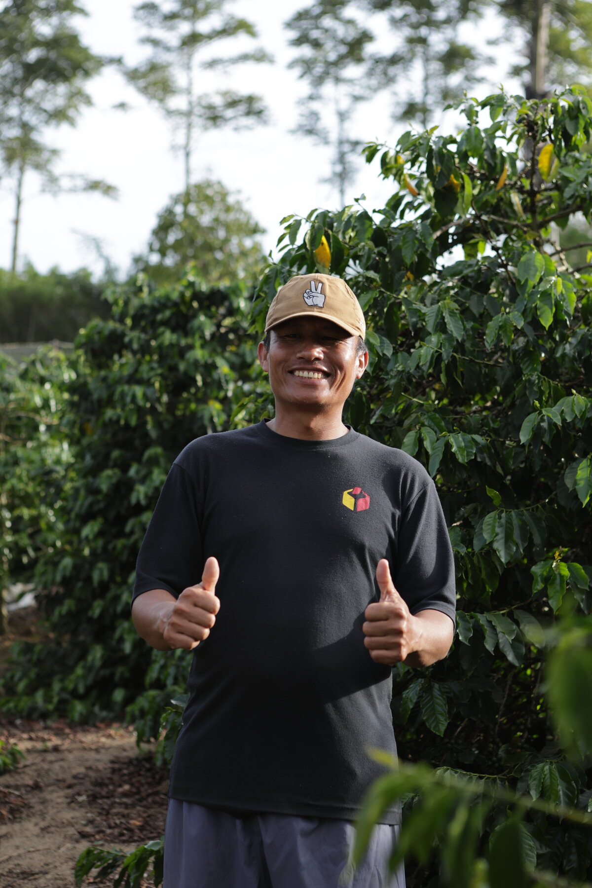 Seedlot farmer partnership