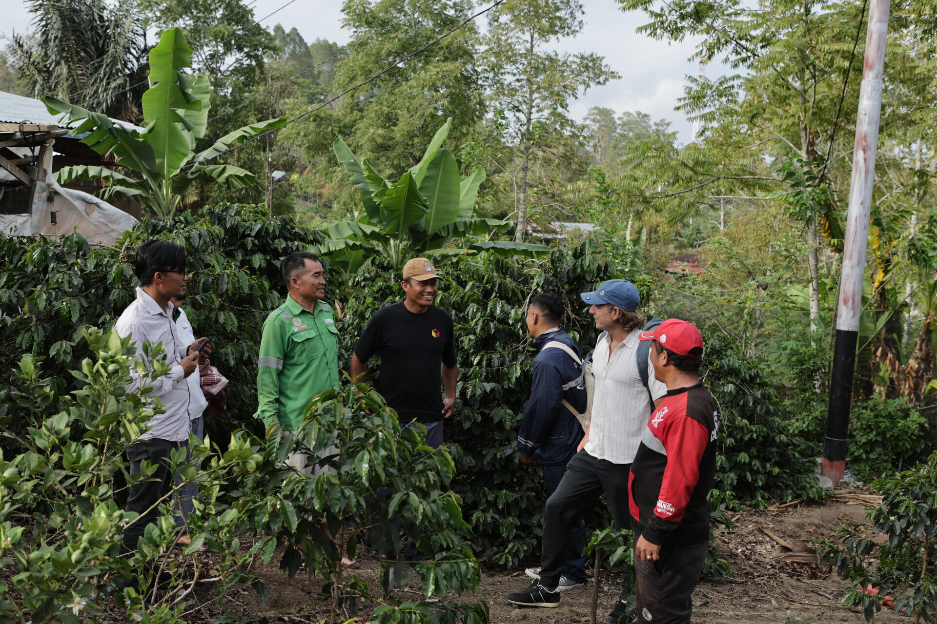 Indonesian coffee farmer in agroforestry setting